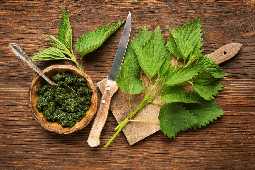 Pesto ortie