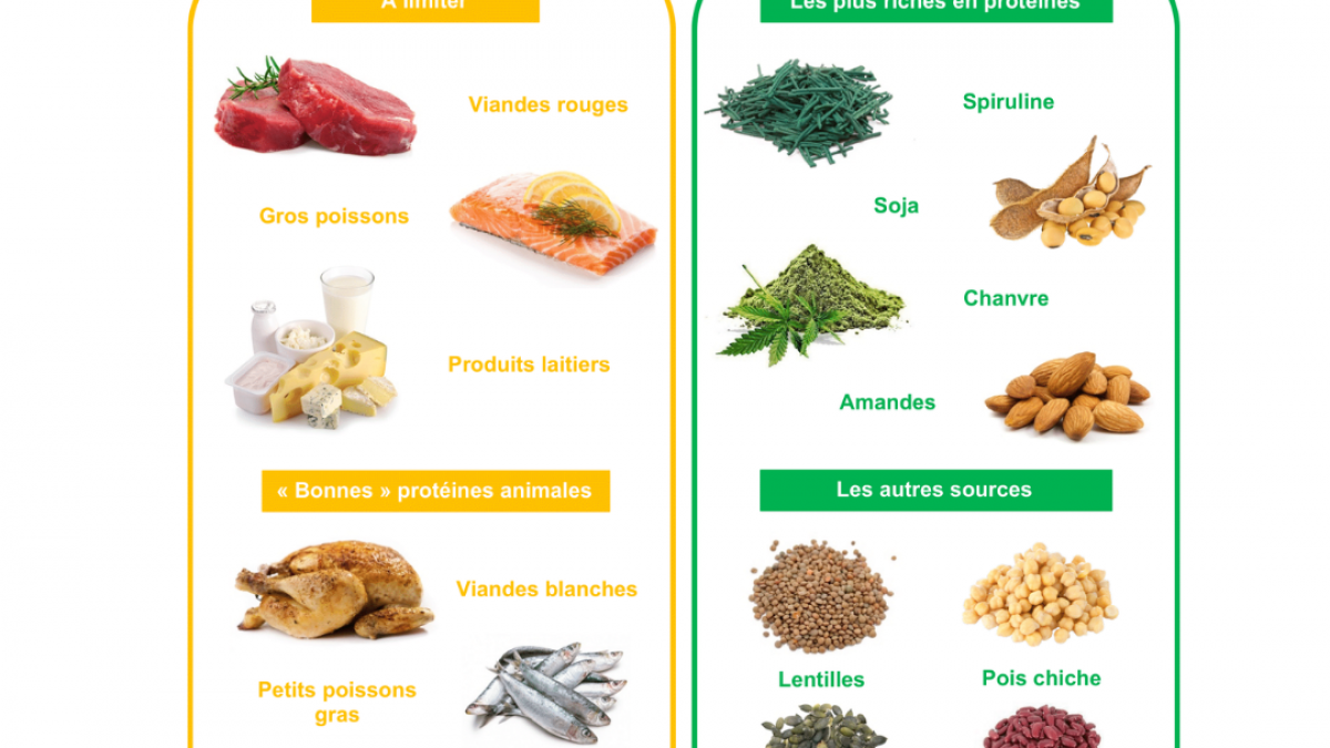 Les sources de proteines